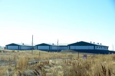 The exterior of a hog barn near Strathclair, Man., with biosecurity sign visible, in October 2018. Photo: Alexis Stockford