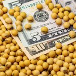 China&rsquo;s buying has underpinned Chicago soybean futures in recent weeks, helping the market end 2025 on a positive note. Photo: Getty Images Plus
