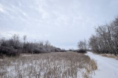 A snowy pasture scene in eastern Manitoba. Photo: Geralyn Wichers

