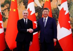 Canadian Prime Minister Mark Carney shakes hands with Chinese President Xi Jinping at the Great Hall of the People in Beijing on Friday, Jan. 16, 2026. 