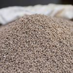 18-46-0 , Diammonium phosphate (DAP) fertilizers in fertilizer bag. Phosphorus placement influenced plant stands more than yield in multi-site Saskatchewan canola trials. Photo: iamporpla/iStock/Getty Images