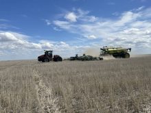 Brian Hildebrand Grassy Lake
