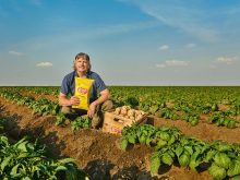 Chris Perry&rsquo;s farm at Coaldale, Alta., is featured in a new television commercial emphasizing the Canadian content in FritoLay potato chips. Photo: Courtesy of FritoLay