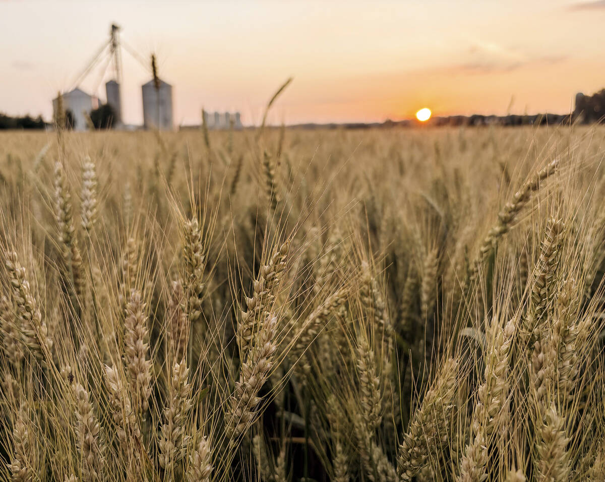 U.S. committee passes farm bill draft with little support from Democrats