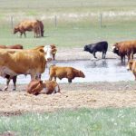 New rules to boost water storage and conservation in Alberta