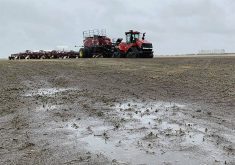 Saturated soils show surface moisture, with a tractor and air seeder in the background. Photo: File