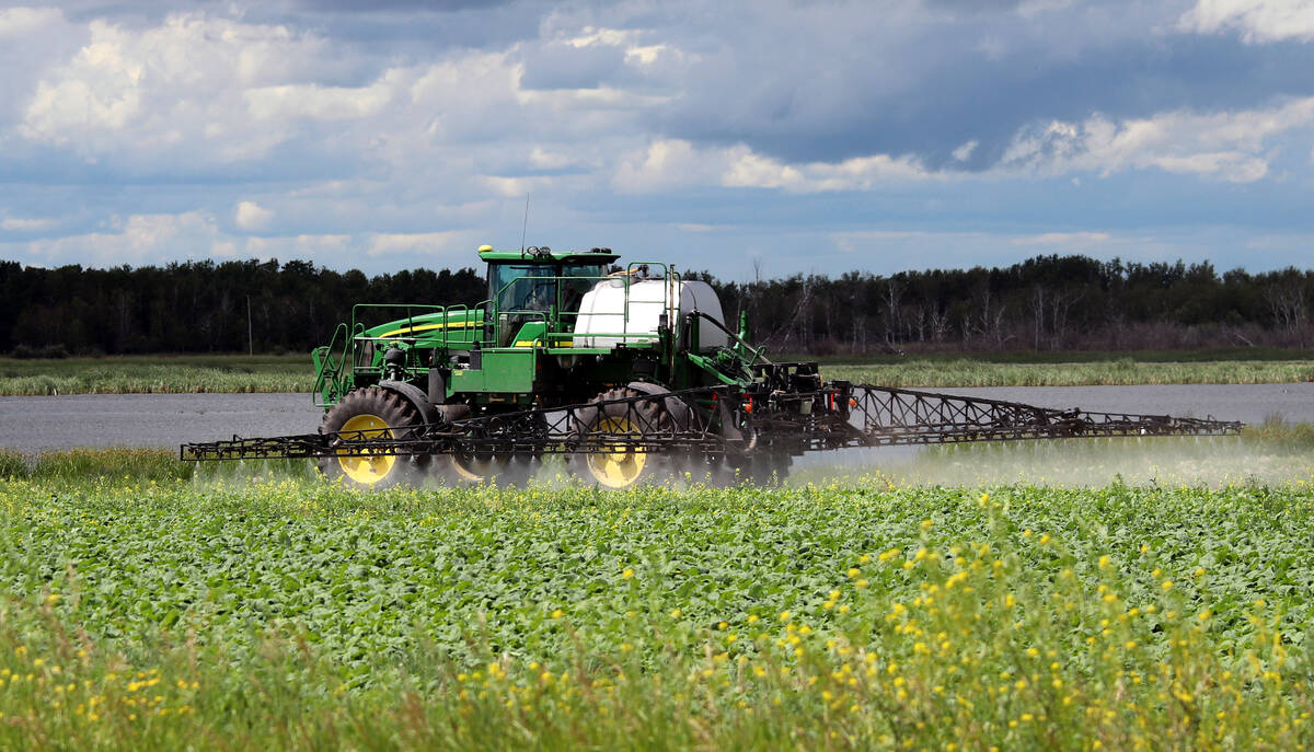 Despite some conclusions that glyphosate poses no risk, there have long been concerns regarding its impacts on the environment and human health, particularly from Indigenous communities. Photo: File
