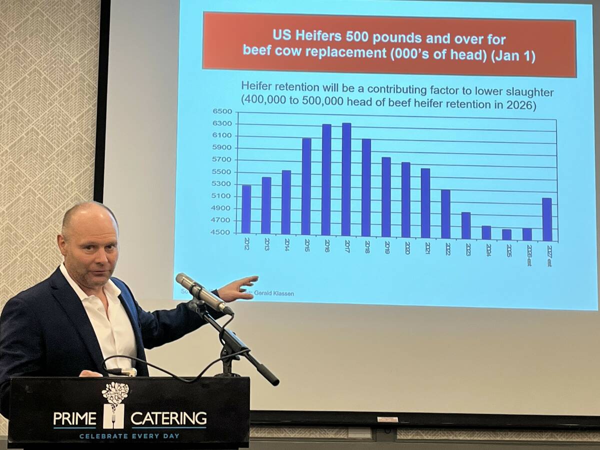 Jerry Klassen spoke at a cattle market analysis meeting in Lethbridge in late January, forecasting trends to help with feedlot jitters caused by some huge per head negative margins in southern Alberta to close out 2025. Photo: Greg Price