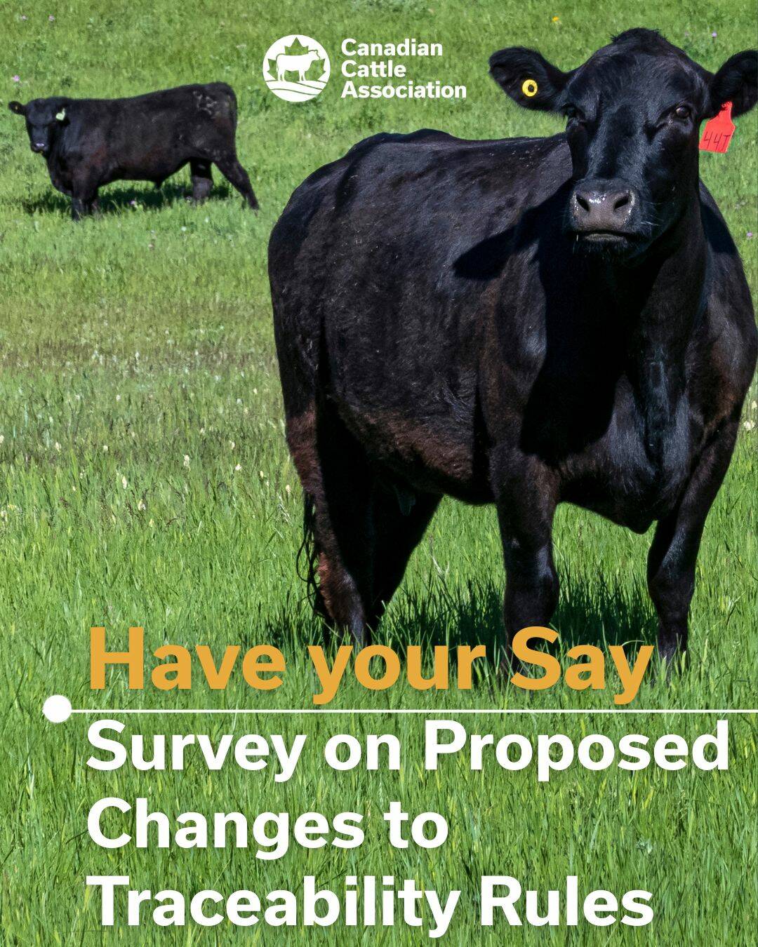 N.S. puts feed-in-tariff program on hold