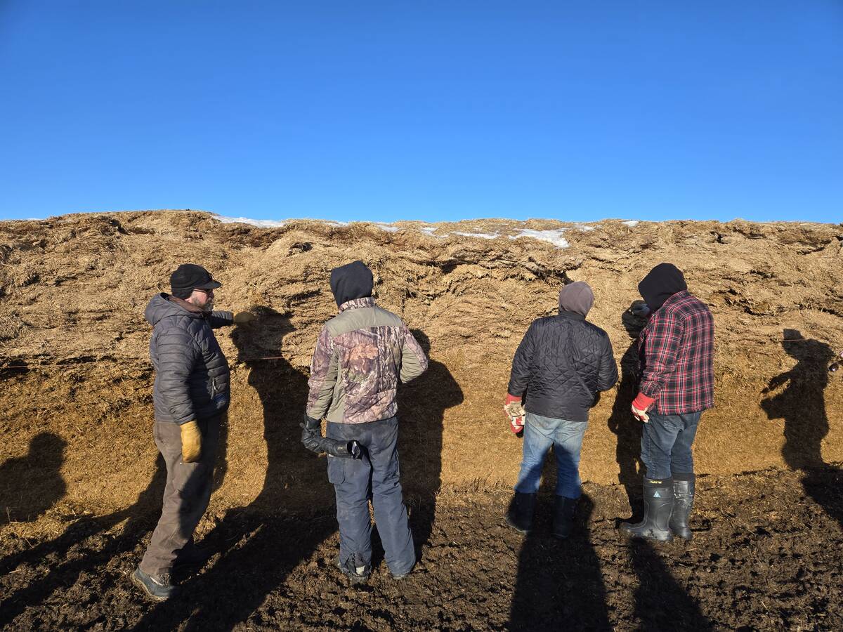 Participants in a winter grazing tour check out an on-field silage pile at Bos Family Farms near Rapid City, Man., on Jan. 12, 2026. Photo: Miranda Leybourne