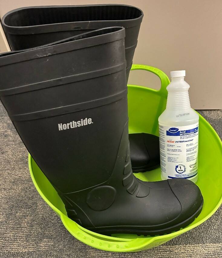 Wearing proper PPE, including boots, gloves and coveralls, is imperative for keeping humans and animals disease-free. 