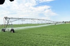 A pivot irrigation system at Outlook, Sask., on July 11, 2024.