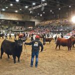 Farmfair International is expected to be held Nov. 10-14 this year after being cancelled last year due to the COVID-19 pandemic. | File photo