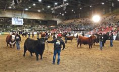 Farmfair International is expected to be held Nov. 10-14 this year after being cancelled last year due to the COVID-19 pandemic. | File photo