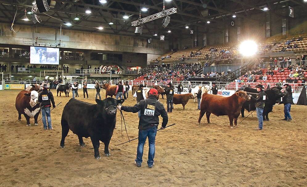 Farmfair International is expected to be held Nov. 10-14 this year after being cancelled last year due to the COVID-19 pandemic. | File photo
