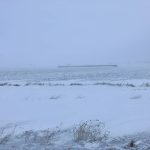 Blowing snow near Marquette, Manitoba, on January 22, 2026. Photo: Greg Berg