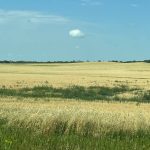 Sencor crop protection products now available from SipCam Agro Canada