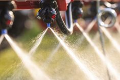 Opponents of the Kansas bill distrust the U.S. Environmental Protection Agency&rsquo;s assessment that glyphosate pesticides such as Bayer&rsquo;s Roundup product are not likely to cause cancer, while proponents fear that the widely used pesticide will be made more expensive or pulled from the market. Photo: Fotokostic/Getty Images Plus
