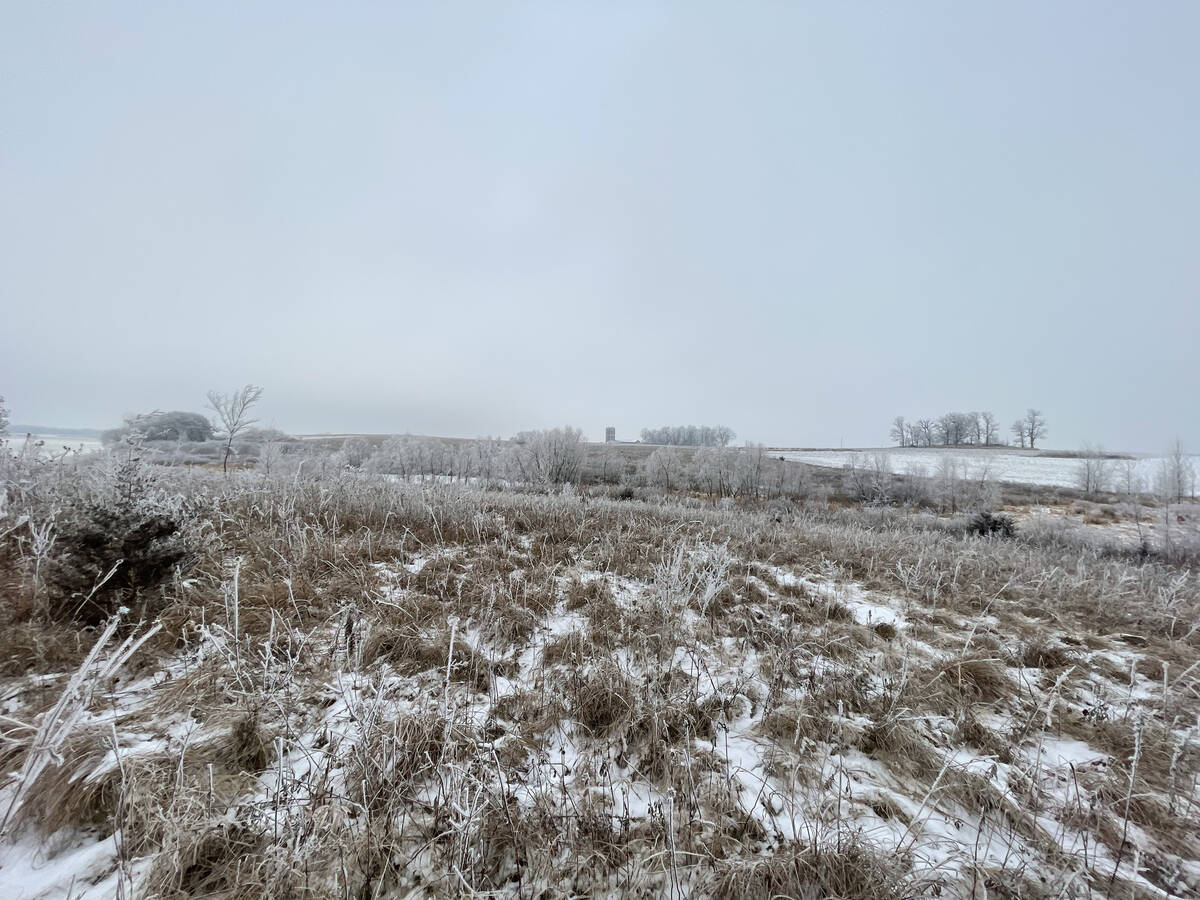 Weather models are still not showing a sustained push of true spring conditions across the Prairies. Photo: Getty Images Plus
