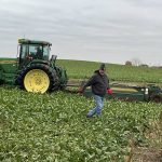 Canadian sugar beet growers push for national domestic sugar policy