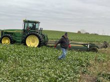 Gary and Elizabeth Tokariuk sugar beet harvest fall 2025 Coaldale Alberta