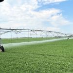 A pivot irrigation system at Outlook, Sask., on July 11, 2024.