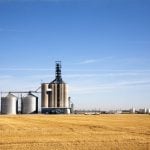 Ample global supply weighed on prices of staple crops such as corn and soybeans in the past two years and eroded earnings for agribusiness groups like LDC and U.S. rivals ADM, Bunge Global and Cargill. Photo: Getty Images Plus

