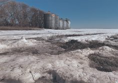 A low angle photo of snow melting with some large steel grain bins in the background under a clear blue sky in early spring.