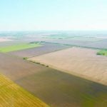 Alberta, Saskatchewan and Manitoba were responsible for much of Canada&rsquo;s annual average increase in farmland prices last year. Photo: File
