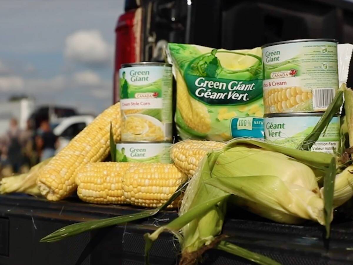 Cobs of fresh corn and cans of Green Giant vegetables in a truck bed, representing southern Alberta's vegetable production threatened by Nortera's Lethbridge plant closure in June 2026. Photo: file.