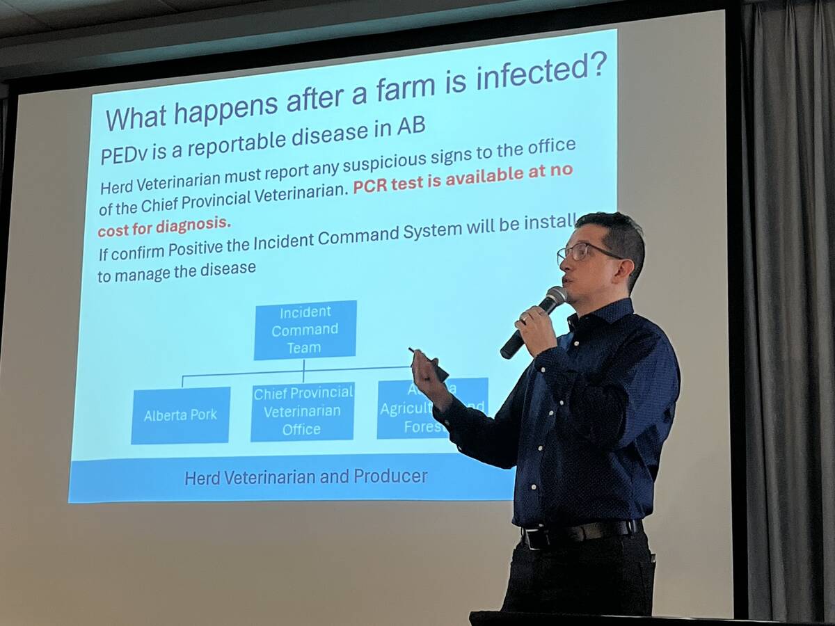 Javier Bahamon presents a slide outlining Alberta's PEDv response process at the Alberta Pork producer meeting in Lethbridge, with an incident command flowchart visible on screen. Photo: Greg Price.