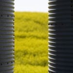 On April 1, profit-taking took May canola down C$13.30/tonne to close at C$718.50. However, it has still remained between C$710 to C$740 since March 24.
Photo: Getty Images Plus
