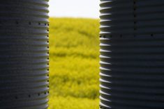 On April 1, profit-taking took May canola down C$13.30/tonne to close at C$718.50. However, it has still remained between C$710 to C$740 since March 24.
Photo: Getty Images Plus
