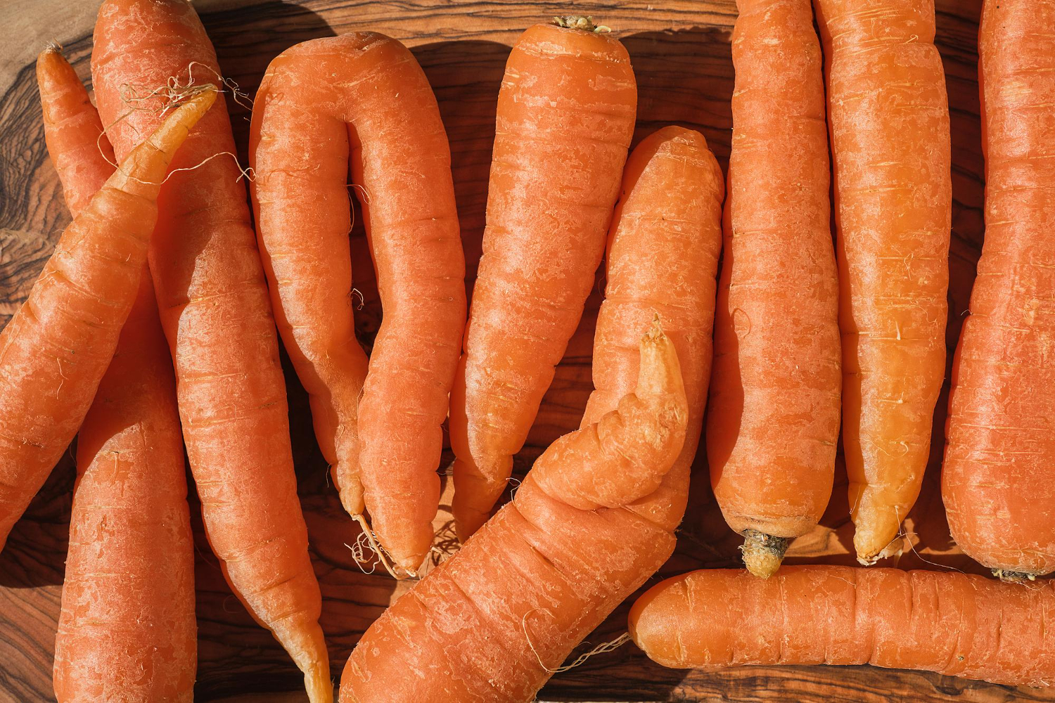 Imperfect orange carrots with irregular shapes and sizes on a wooden surface, representing produce rejected from consumer markets that researchers say could be used as food waste as cattle feed. Photo: ededchechine via Freepik.