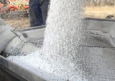 Granular urea fertilizer pours through a screen during spring application as Middle East conflict disrupts global fertilizer supply and drives up prices for Prairie farmers. Photo: file