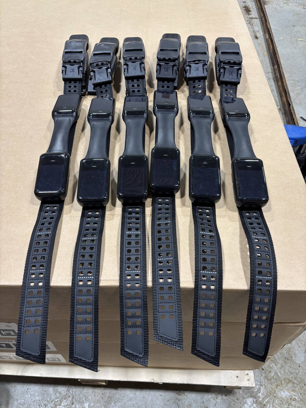 Six black Halter virtual fencing collars with GPS units laid out in a row on a table, showing the adjustable strap and solar panel design. Photo: supplied