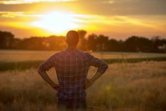 A farmer stands alone in a field at sunset, looking out over the crops with hands on hips. The warm light silhouettes the figure against a wide prairie sky. Photo: Thinkstock