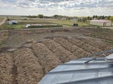 Rows of manure compost arranged in windrows inside a corral on Claude Lampron's farm near Saint Vincent, Alta., with farmyard buildings and green fields visible in the background. Photo: Claude Lampron