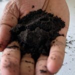 A hand holding a clump of dark soil against a light surface. The federal government has announced a partnership with the Soil Conservation Council of Canada to develop a National Agricultural Soil Health Strategy. Photo: Don Norman