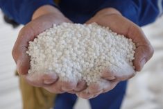 A pair of hands cups a mound of white nitrogen fertilizer granules, illustrating the input that is a major driver of crop yields and farm costs. Elena Bionysheva-Abramova/iStock/Getty Images
