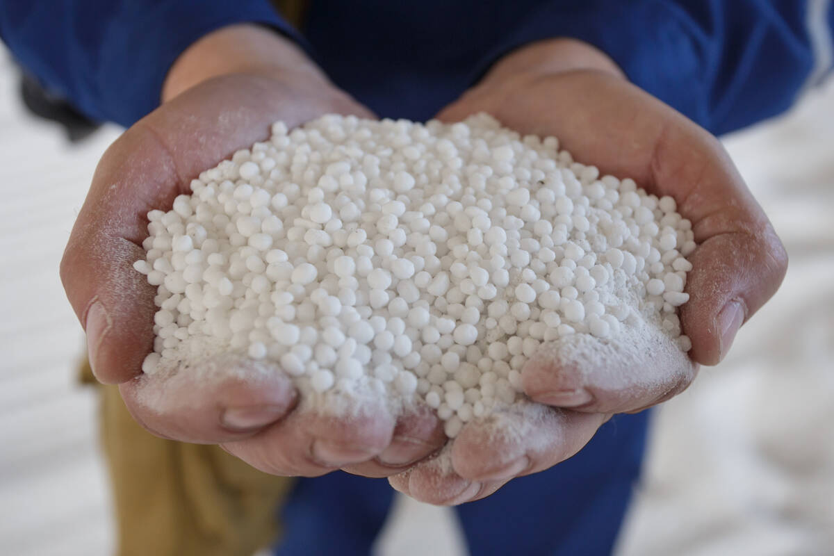 A pair of hands cups a mound of white nitrogen fertilizer granules, illustrating the input that is a major driver of crop yields and farm costs. Elena Bionysheva-Abramova/iStock/Getty Images
