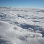 Sunlit snow stretches across a flat Alberta field under a blue sky, its surface textured by wind and melt-freeze cycles. Photo: Janelle Rudolph