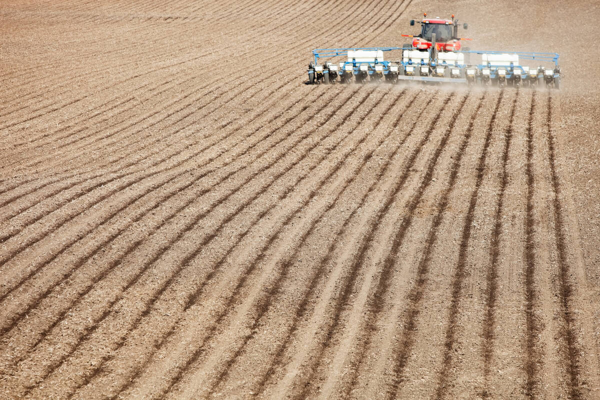 A tractor pulls a multi-row planter across a bare field, applying fertilizer at seeding as farmers weigh the cost of nitrogen inputs heading into the 2026 growing season. Photo: BanksPhotos/Getty Images