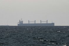 A large cargo vessel seen through haze on open water in the Strait of Hormuz. Photo: Reuters