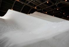 Since the U.S. and Israel launched a war with Iran on February 28, nitrogen fertilizer prices have soared, with more than 30 per cent of global exports caught in Iran&rsquo;s near closure of the Strait of Hormuz. Photo: REUTERS/David Mercado/File Photo
